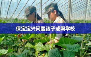 保定定兴问题孩子戒网学校
