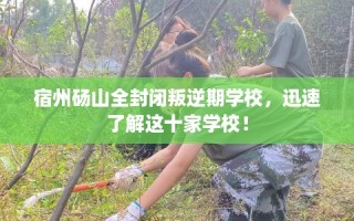 宿州砀山全封闭叛逆期学校，迅速了解这十家学校！