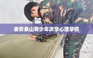 泰安泰山青少年厌学心理学校