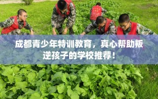 成都青少年特训教育，真心帮助叛逆孩子的学校推荐！