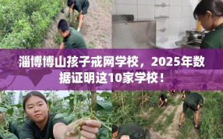 淄博博山孩子戒网学校，2025年数据证明这10家学校！