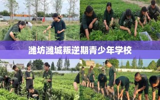 潍坊潍城叛逆期青少年学校