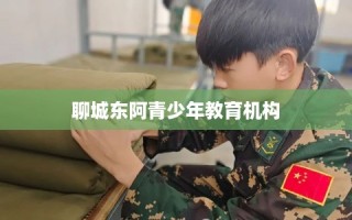 聊城东阿青少年教育机构