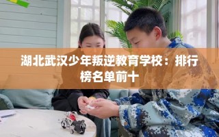 湖北武汉少年叛逆教育学校：排行榜名单前十