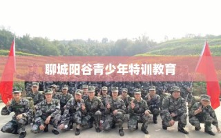 聊城阳谷青少年特训教育