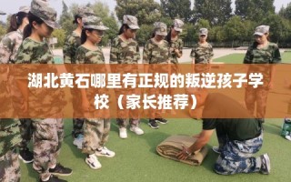 湖北黄石哪里有正规的叛逆孩子学校（家长推荐）
