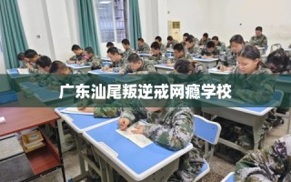 广东汕尾叛逆戒网瘾学校