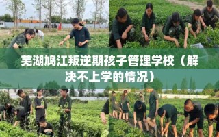 芜湖鸠江叛逆期孩子管理学校（解决不上学的情况）