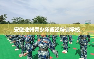 安徽池州青少年叛逆特训学校