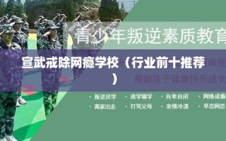 宣武戒除网瘾学校（行业前十推荐）