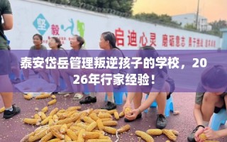 泰安岱岳管理叛逆孩子的学校，2026年行家经验！