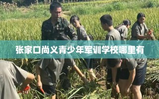 张家口尚义青少年军训学校哪里有