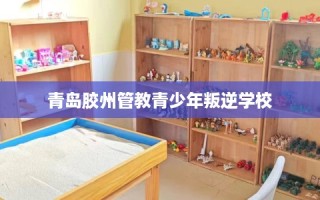 青岛胶州管教青少年叛逆学校