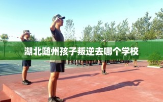 湖北随州孩子叛逆去哪个学校