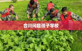 合川问题孩子学校