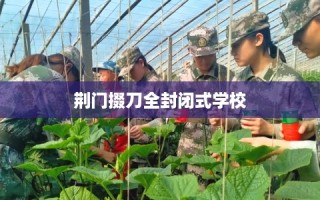 荆门掇刀全封闭式学校