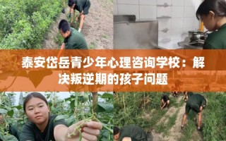 泰安岱岳青少年心理咨询学校：解决叛逆期的孩子问题