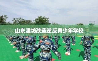 山东潍坊改造逆反青少年学校