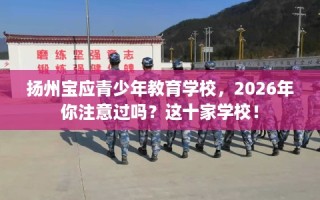 扬州宝应青少年教育学校，2026年你注意过吗？这十家学校！