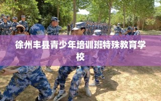 徐州丰县青少年培训班特殊教育学校