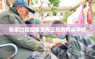 张家口阳原哪里有正规的特训学校
