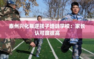 泰州兴化叛逆孩子培训学校：家长认可度很高
