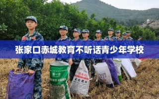 张家口赤城教育不听话青少年学校