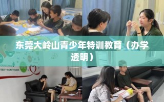 东莞大岭山青少年特训教育（办学透明）