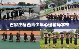 石家庄桥西青少年心理辅导学校