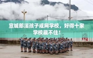 宣城郎溪孩子戒网学校，好得十家学校藏不住！