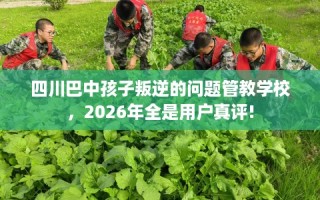 四川巴中孩子叛逆的问题管教学校，2026年全是用户真评!