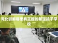 河北邯郸哪里有正规的叛逆孩子学校