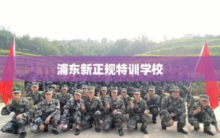 浦东新正规特训学校