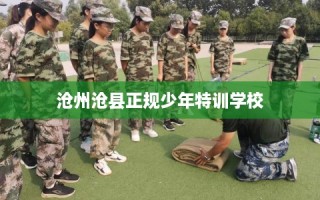 沧州沧县正规少年特训学校