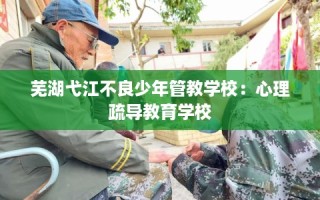 芜湖弋江不良少年管教学校：心理疏导教育学校
