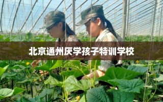北京通州厌学孩子特训学校