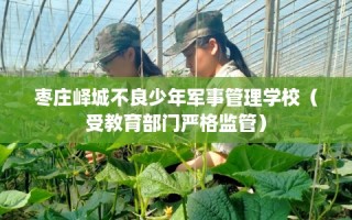 枣庄峄城不良少年军事管理学校（受教育部门严格监管）
