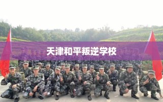 天津和平叛逆学校