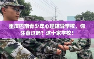 重庆巴南青少年心理辅导学校，你注意过吗？这十家学校！