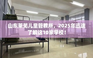 山东莱芜儿童管教所，2025年迅速了解这10家学校！