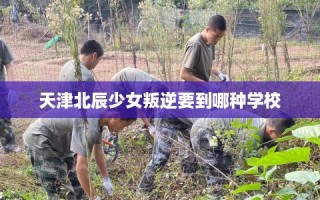 天津北辰少女叛逆要到哪种学校