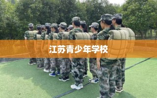 江苏青少年学校