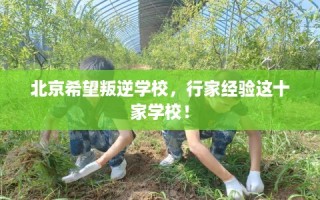 北京希望叛逆学校，行家经验这十家学校！