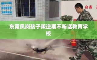 东莞凤岗孩子叛逆期不听话教育学校