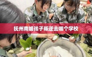 抚州南城孩子叛逆去哪个学校