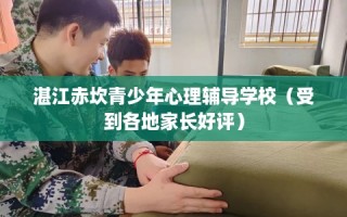 湛江赤坎青少年心理辅导学校（受到各地家长好评）