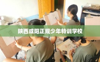 陕西咸阳正规少年特训学校