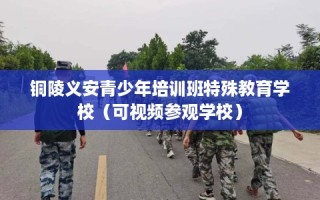 铜陵义安青少年培训班特殊教育学校（可视频参观学校）
