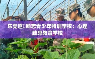 东莞道滘励志青少年特训学校：心理疏导教育学校