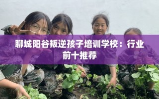聊城阳谷叛逆孩子培训学校：行业前十推荐